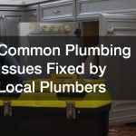 Common Plumbing Issues Fixed by Local Plumbers