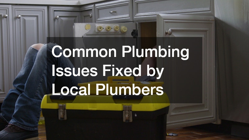 Common Plumbing Issues Fixed by Local Plumbers